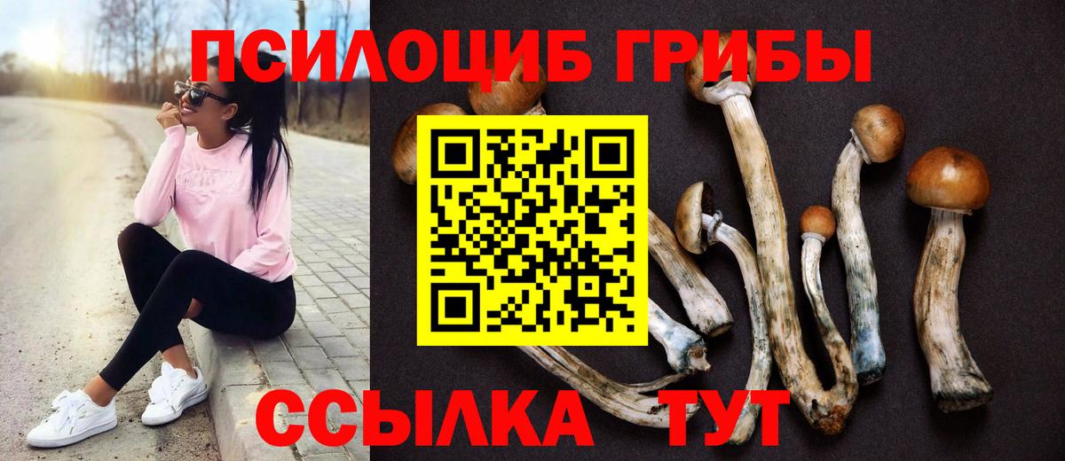 Псилоцибиновые грибы MAGIC MUSHROOMS Славянск-на-Кубани