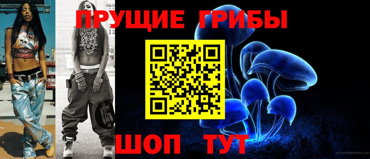 Славянск-на-Кубани  Галлюциногенные грибы Cubensis  Псилоцибиновые грибы прущие грибы  Вход с VPN 